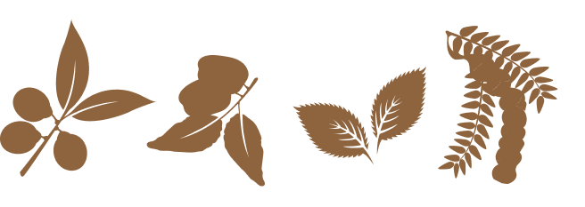 Pictos-shampoings-03